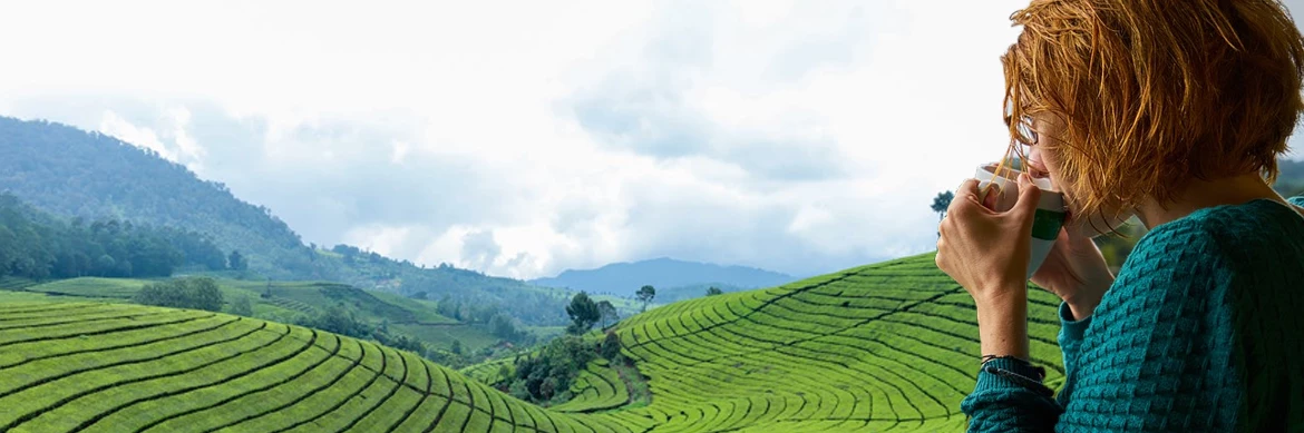 Environmentalism and Connection