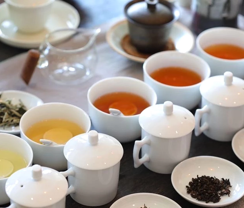 The Golden Leaf India Awards: Southern Tea Competition (TGLIA: STC 2025)