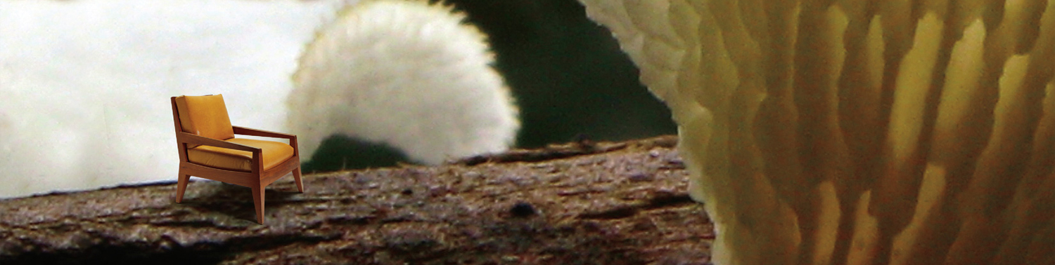 StillWater Furniture